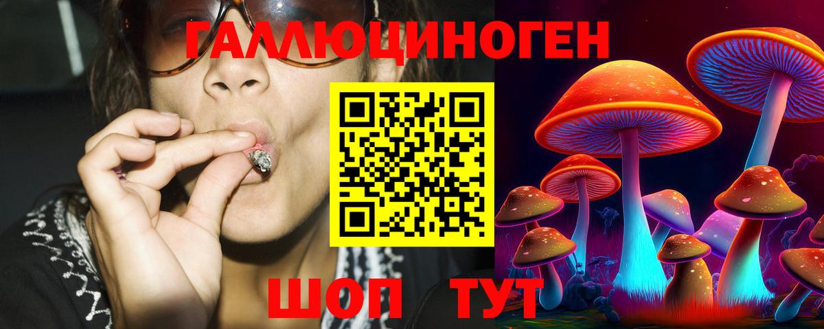 Псилоцибиновые грибы MAGIC MUSHROOMS  Вход с VPN  Рязань  Галлюциногенные грибы Psilocybe 
