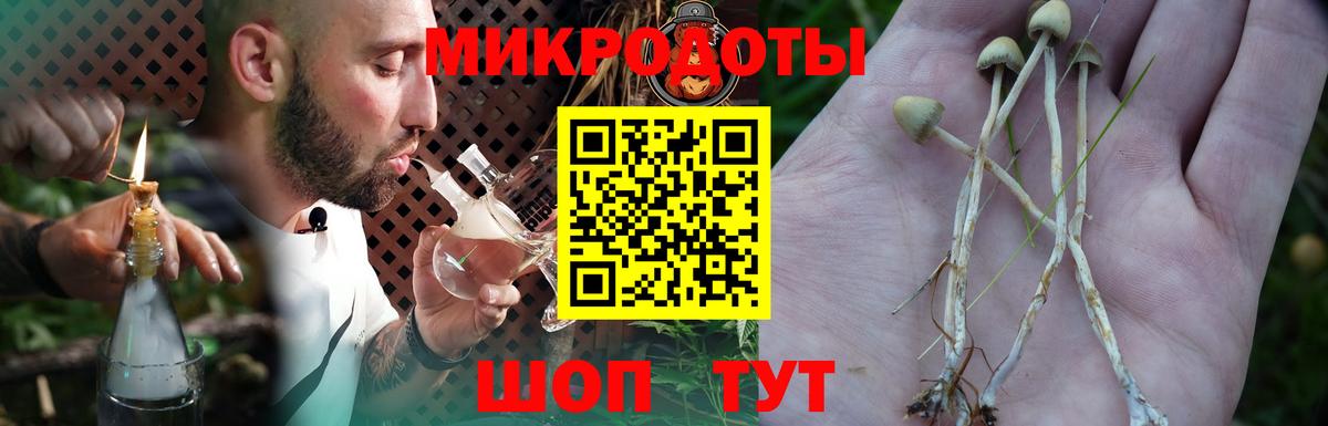 Галлюциногенные грибы Cubensis Рязань